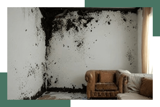 Mold removal and remediation in Boston, MA
