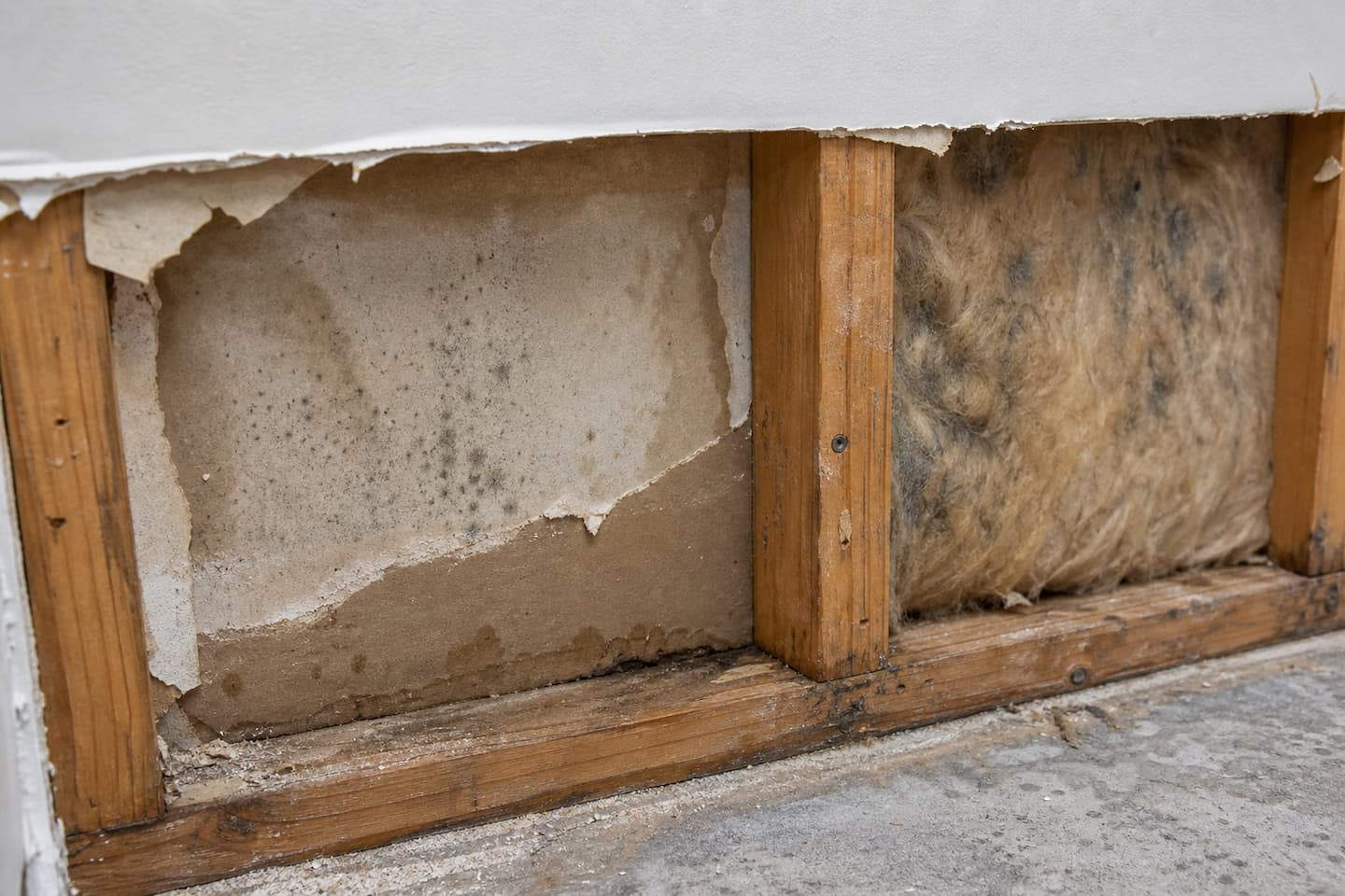 Opened wall showing moisture-damaged drywall paper, wood framing, and stained insulation