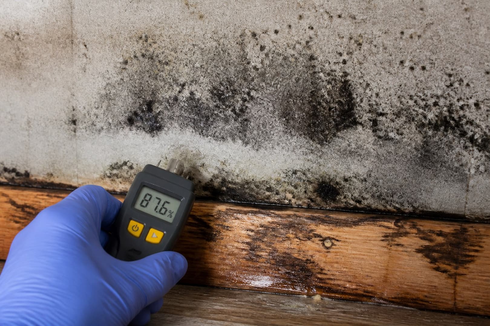 BRG technician mapping moisture at the base of a finished basement wall — close technical detail