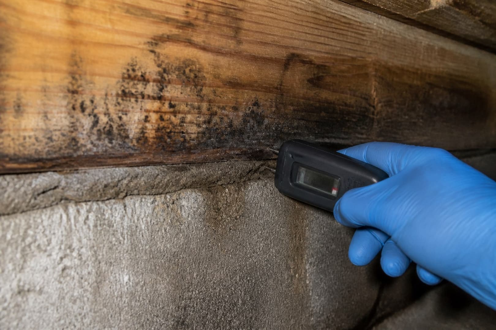 BRG restoration technician evaluating moisture and wood framing in a crawl space — close technical detail