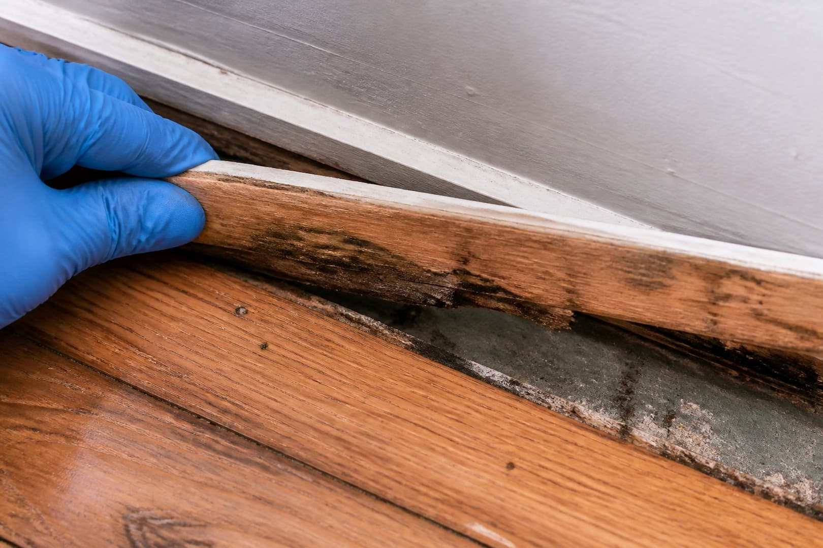 BRG technician measuring hardwood and subfloor moisture after water damage — close technical detail