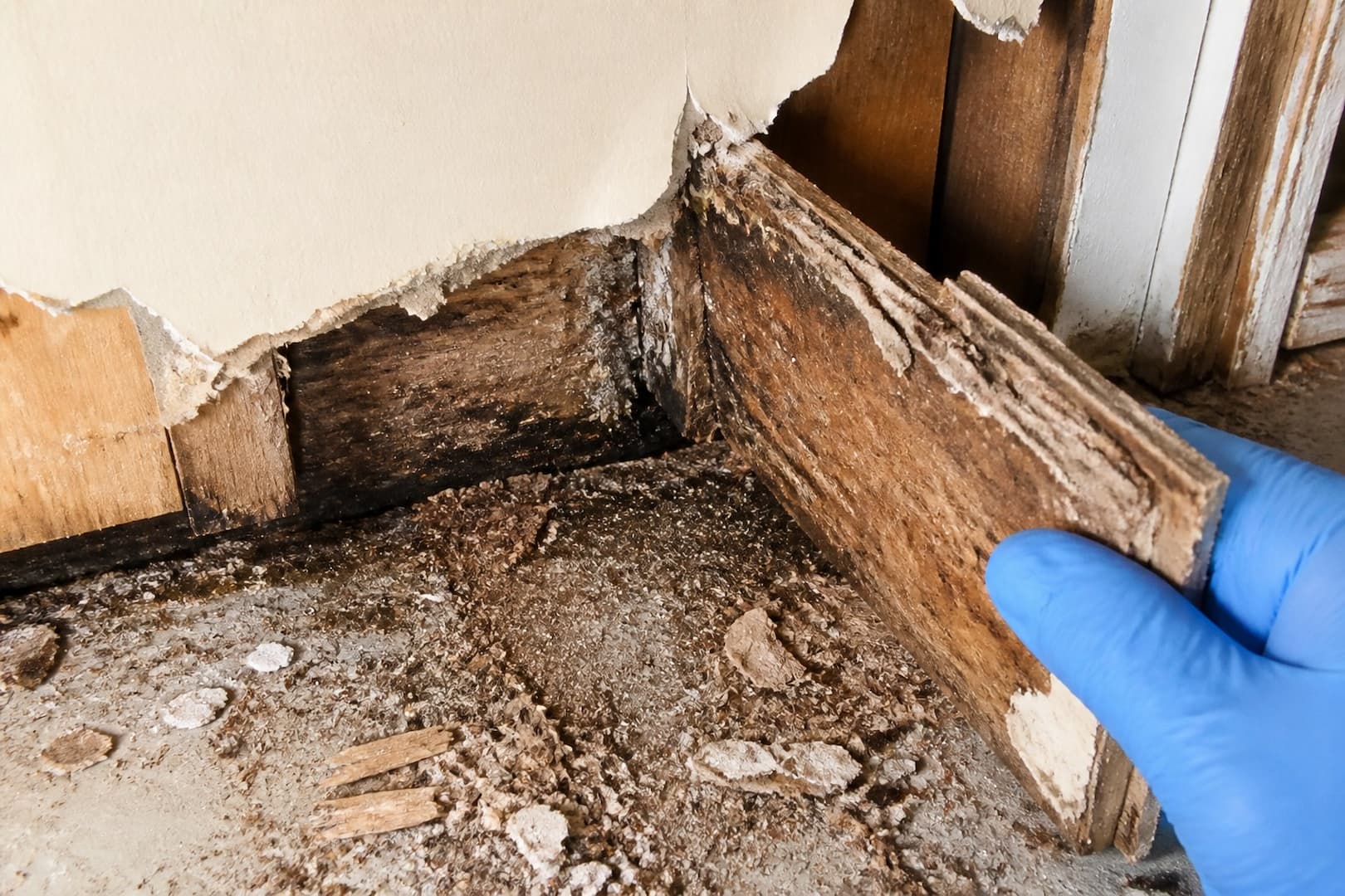 BRG restoration team preparing damaged building materials for controlled removal — close technical detail