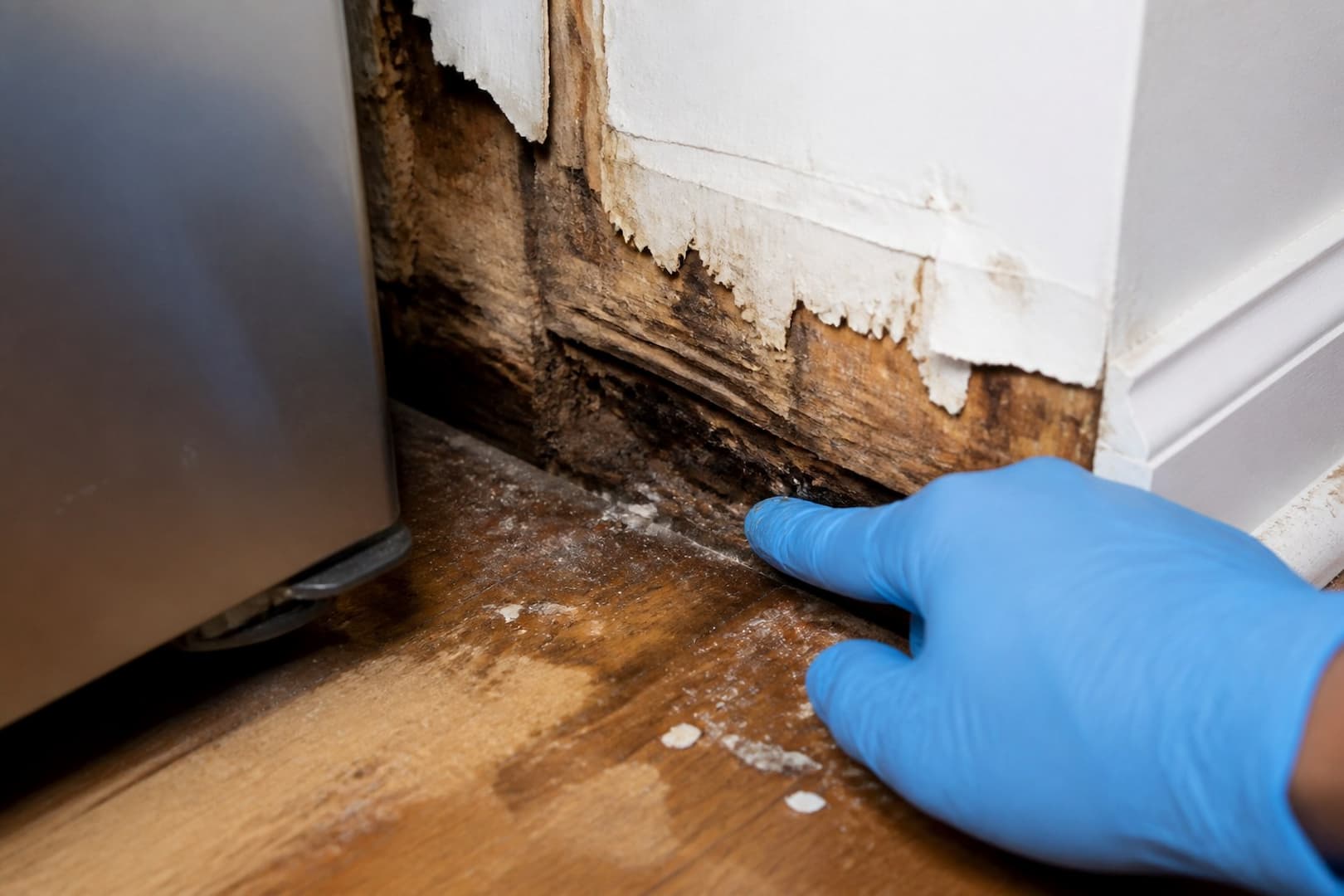 BRG technician checking wall and floor moisture behind a refrigerator after a water-line leak — close technical detail