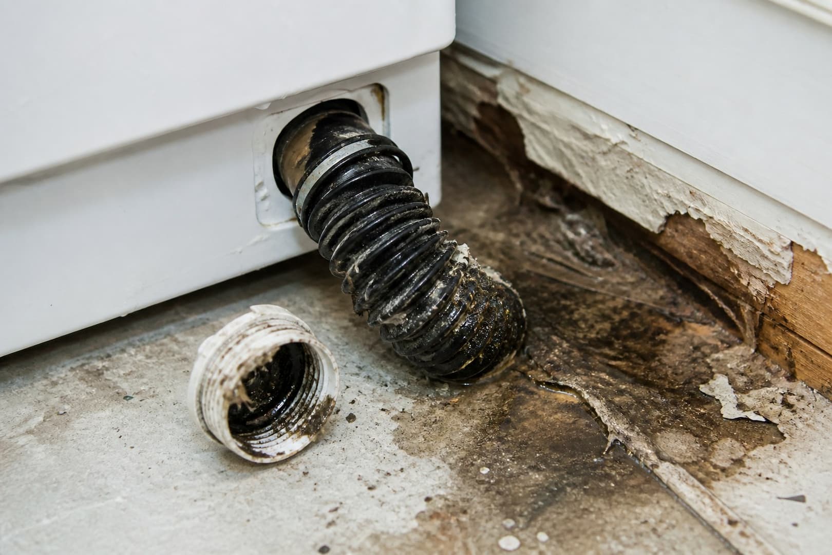 BRG technician measuring moisture in flooring after a washing-machine overflow — close technical detail